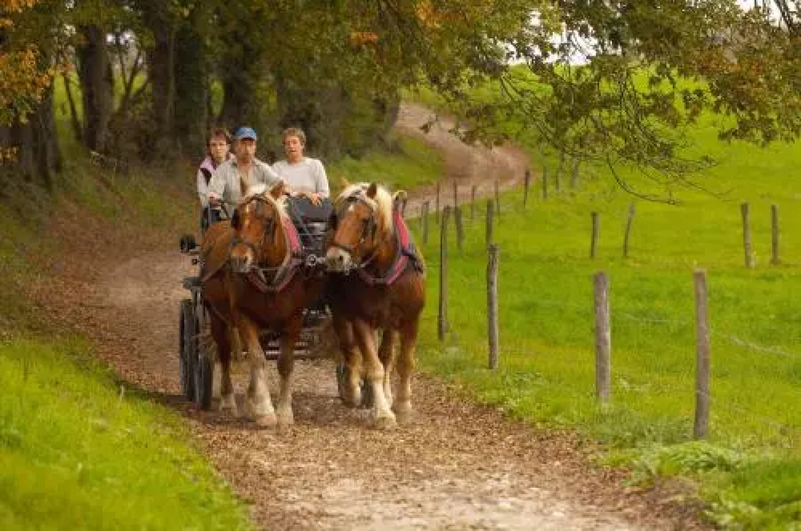 Roulotte des Greppes