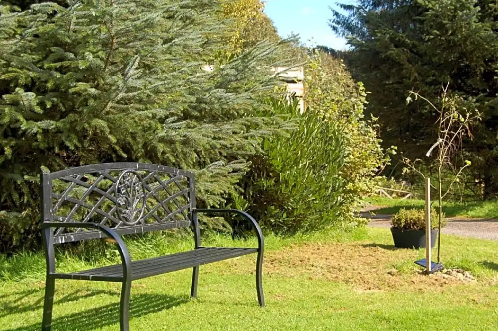 Cosy Rowan woodland lodge no3