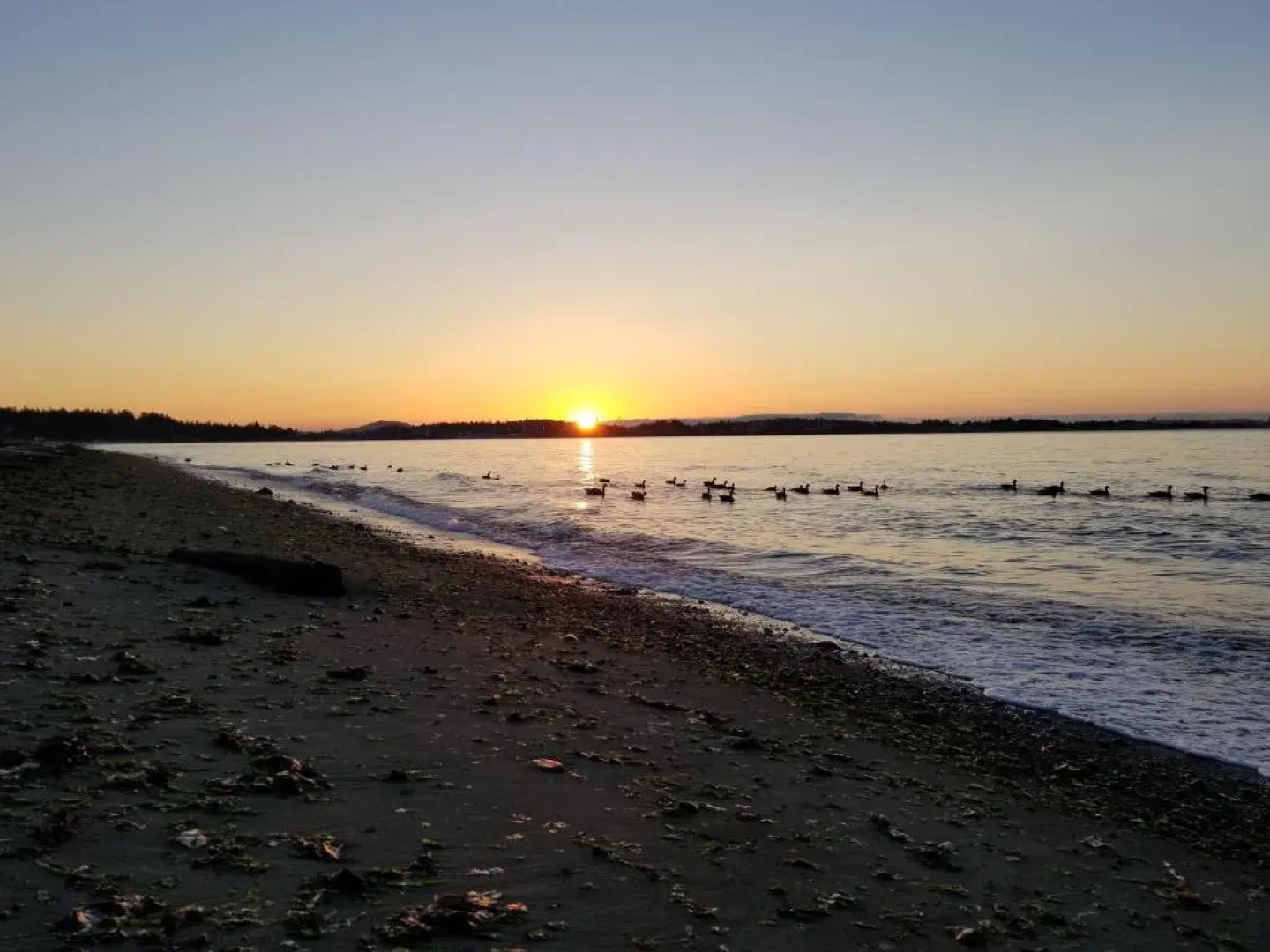 HOV B&B House -Hospitality Ocean view Victoria-