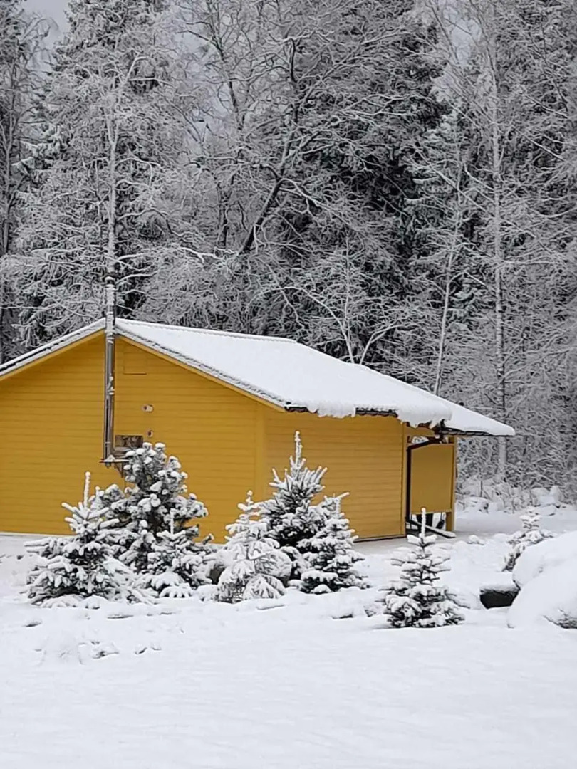 Дом с выходом в лес