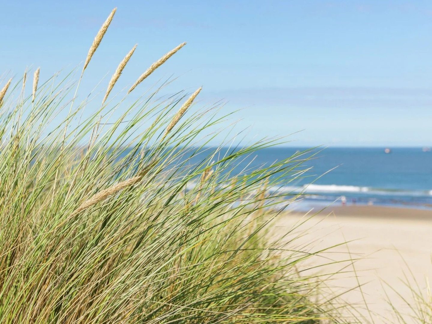 Modern Lodge With two Bath Rooms, Near the Beach