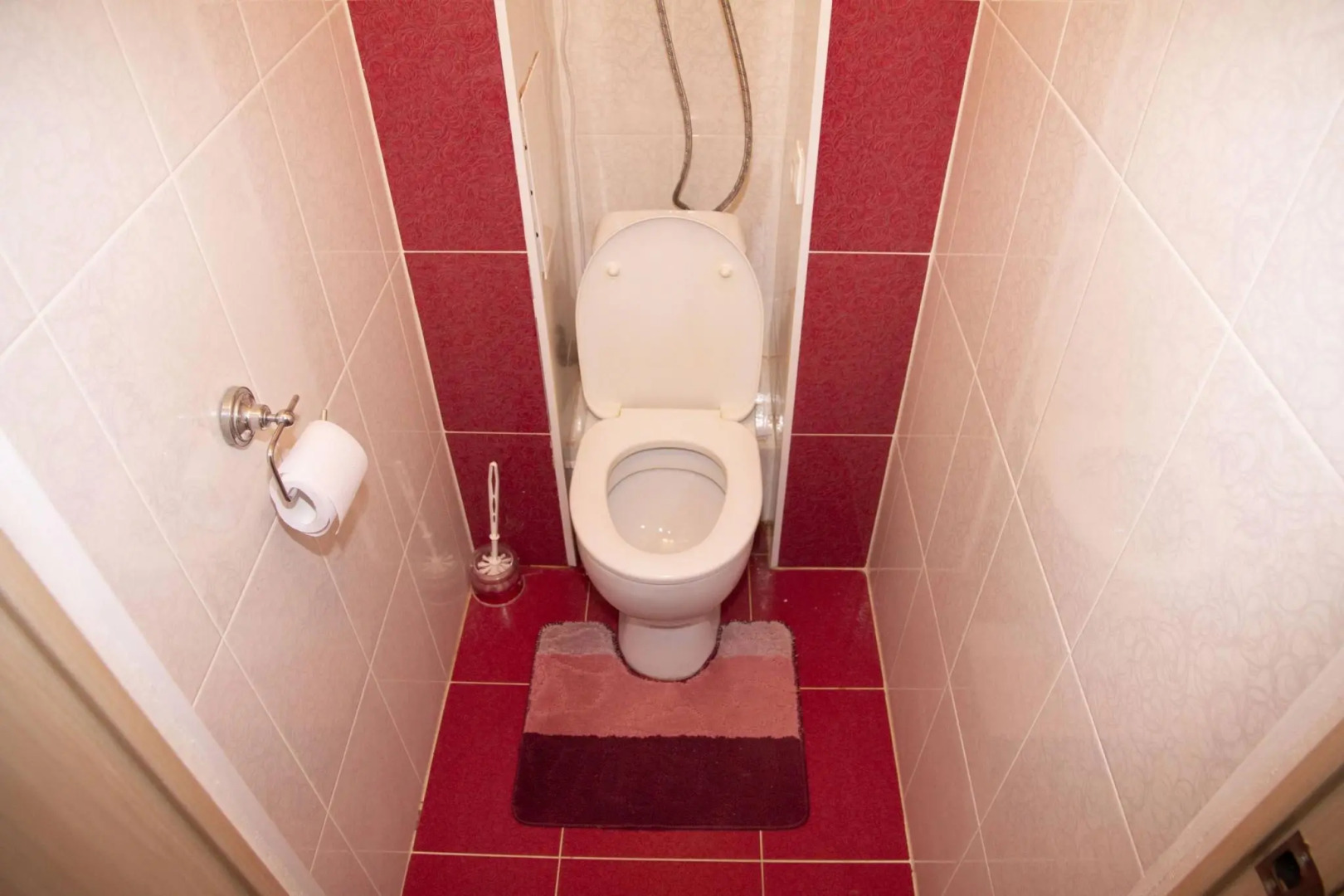 Барбарис на улице Льва Толстого