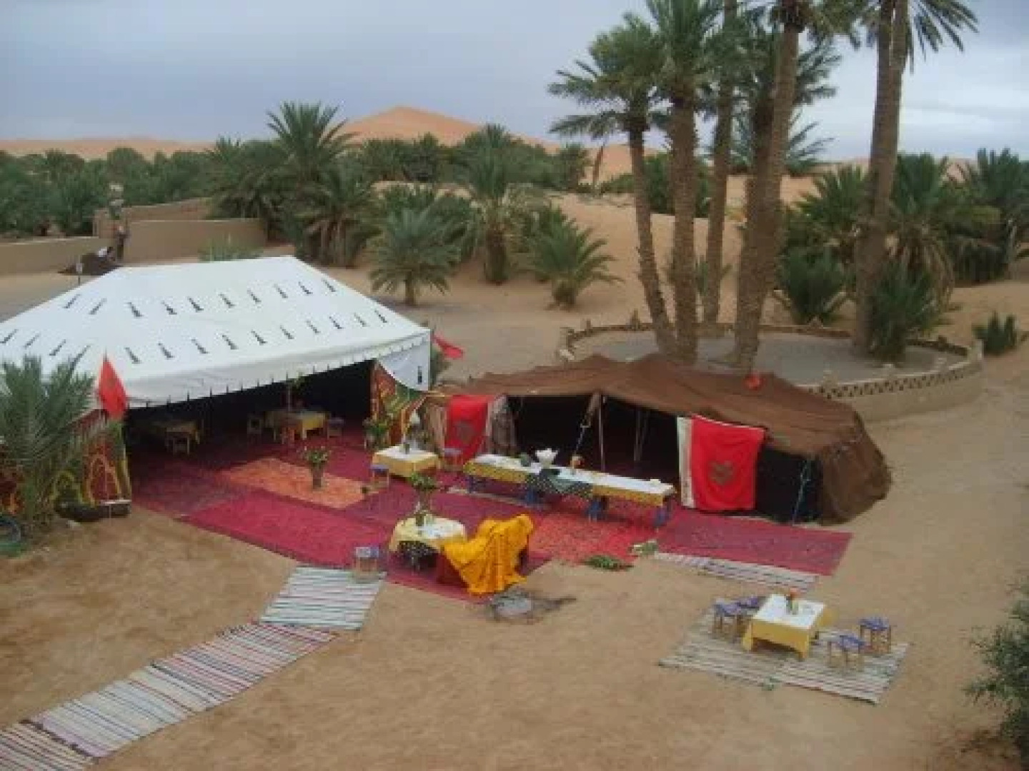 Auberge Camping Sahara