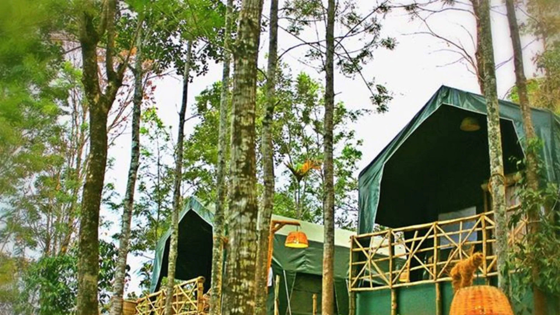 Season7 The Nature Resort - Munnar