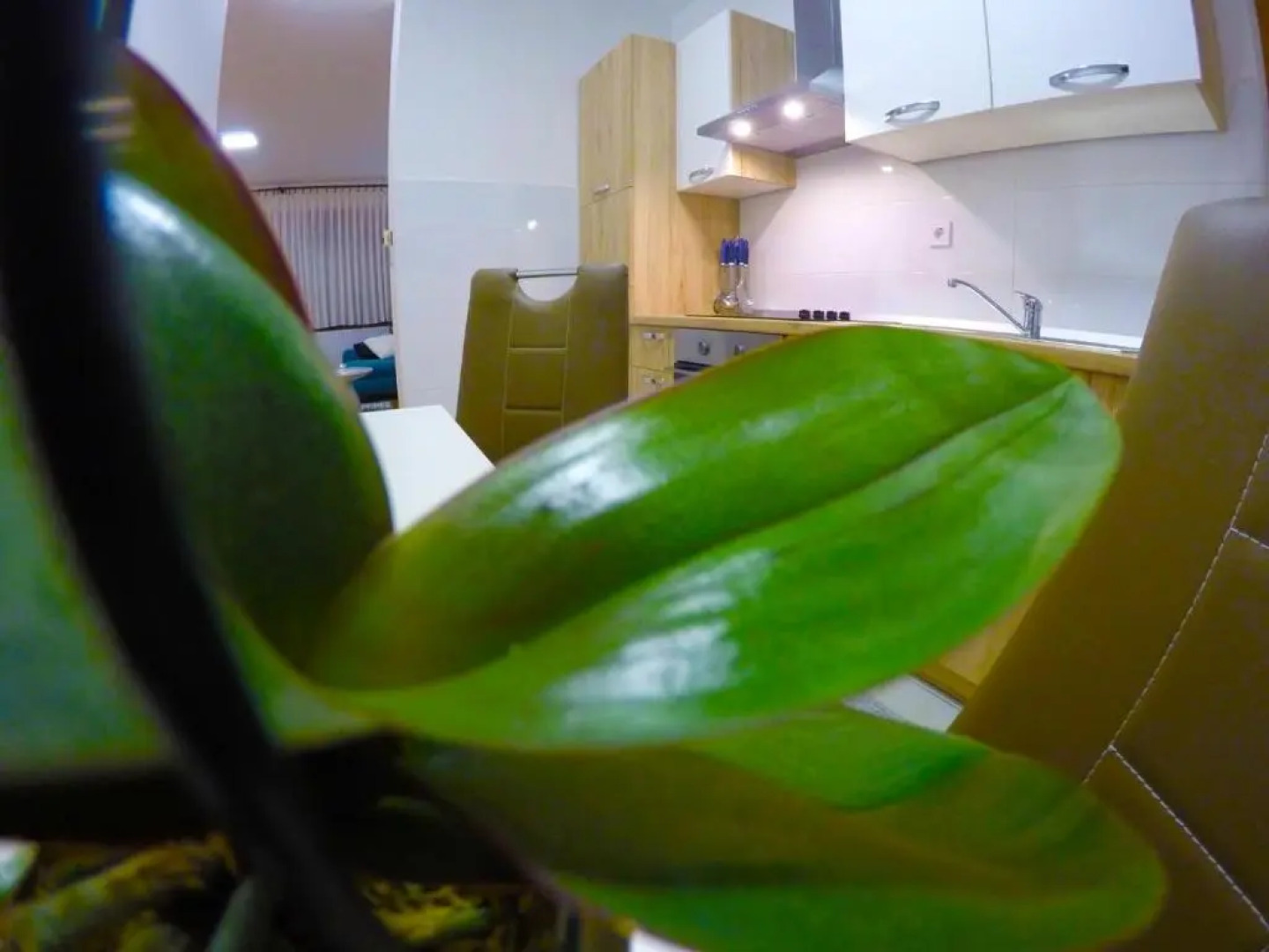 Apartmani Oletić 4*