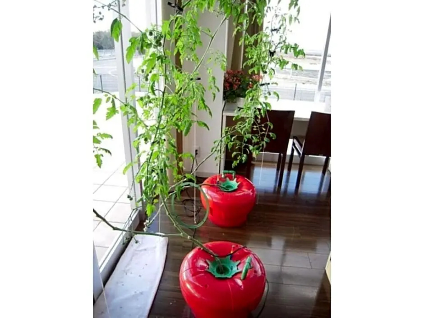 Wind City Hotel - Vacation STAY 81473