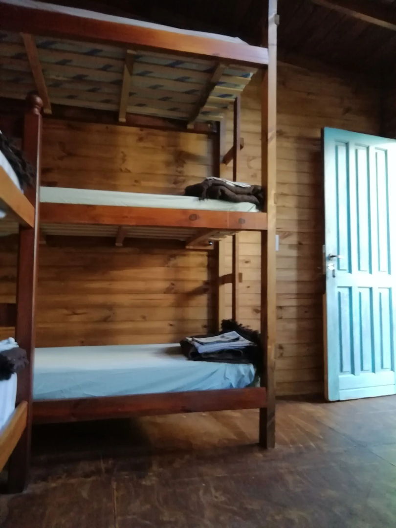 Zeppelin Art Hostel