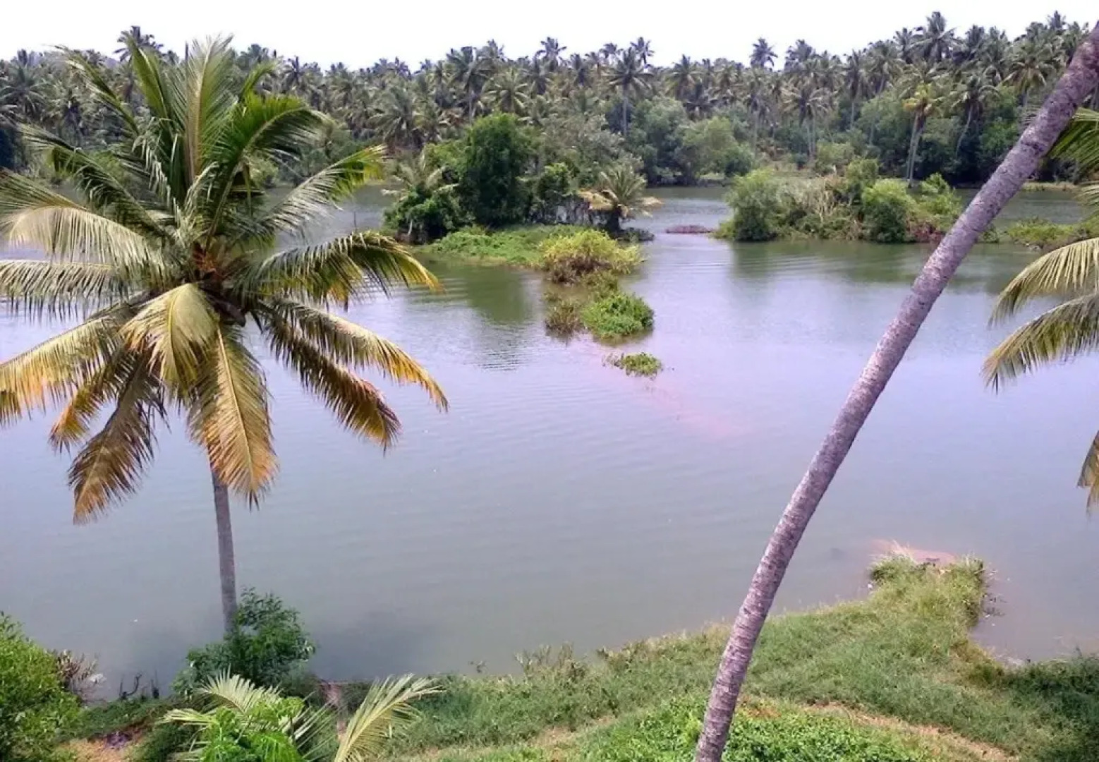 Hotel Geethu International