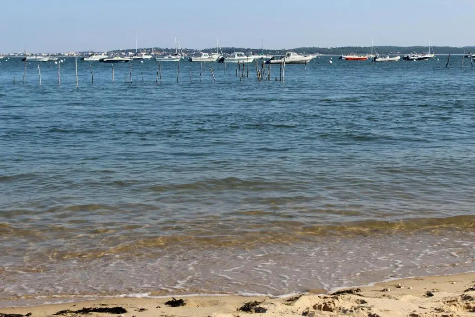 Appartement renove 3 chambres les pieds dans l eau