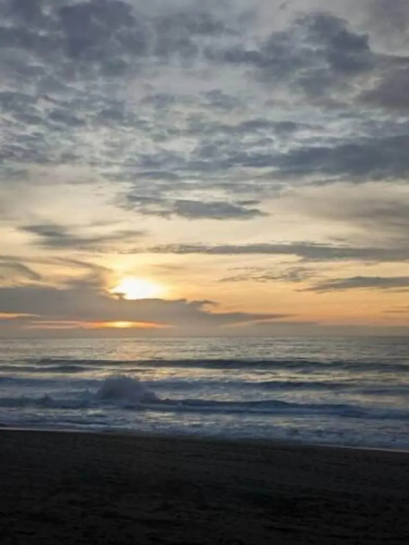 Coastal Palm Tree 2BR Retreat Ocean View