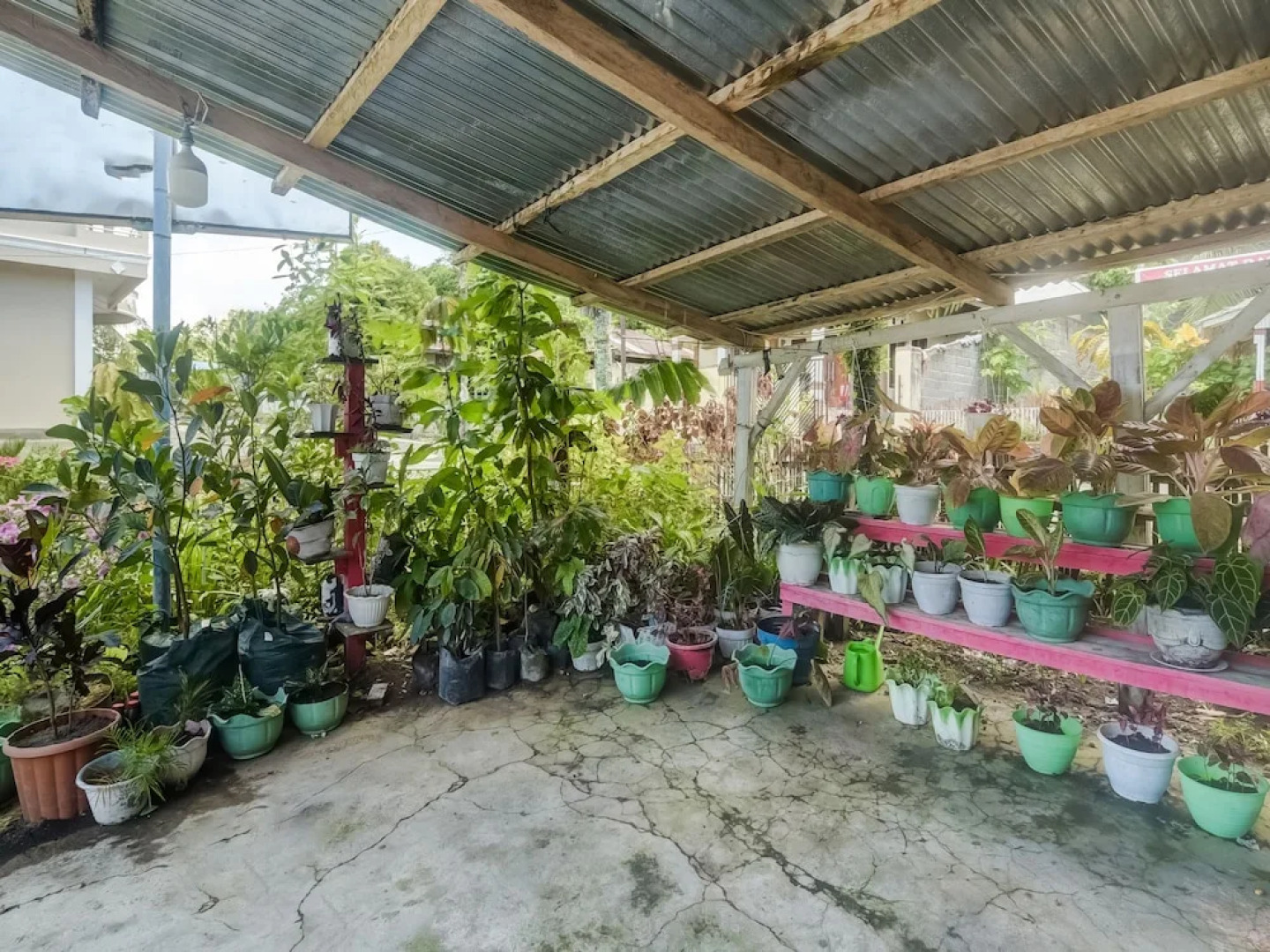 OYO Homes 91148 Homesstay Desa Wisata Bahoi Near Ekowisata Mangrove Desa Bahoi