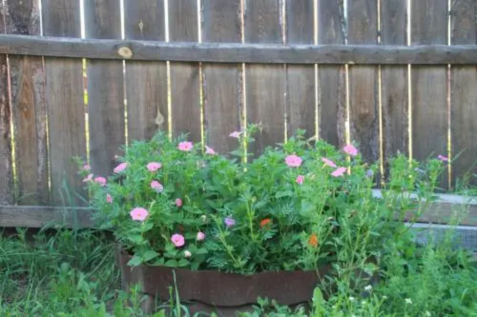 1 Gostiniy Dvor Izbushka