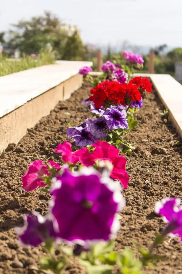 Thalassa Apart Hotel