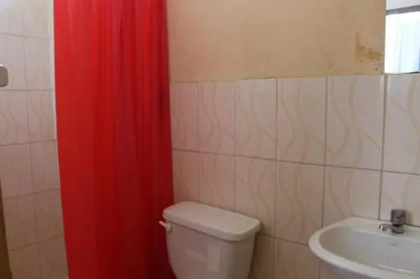 Sachahuasca Backpacker