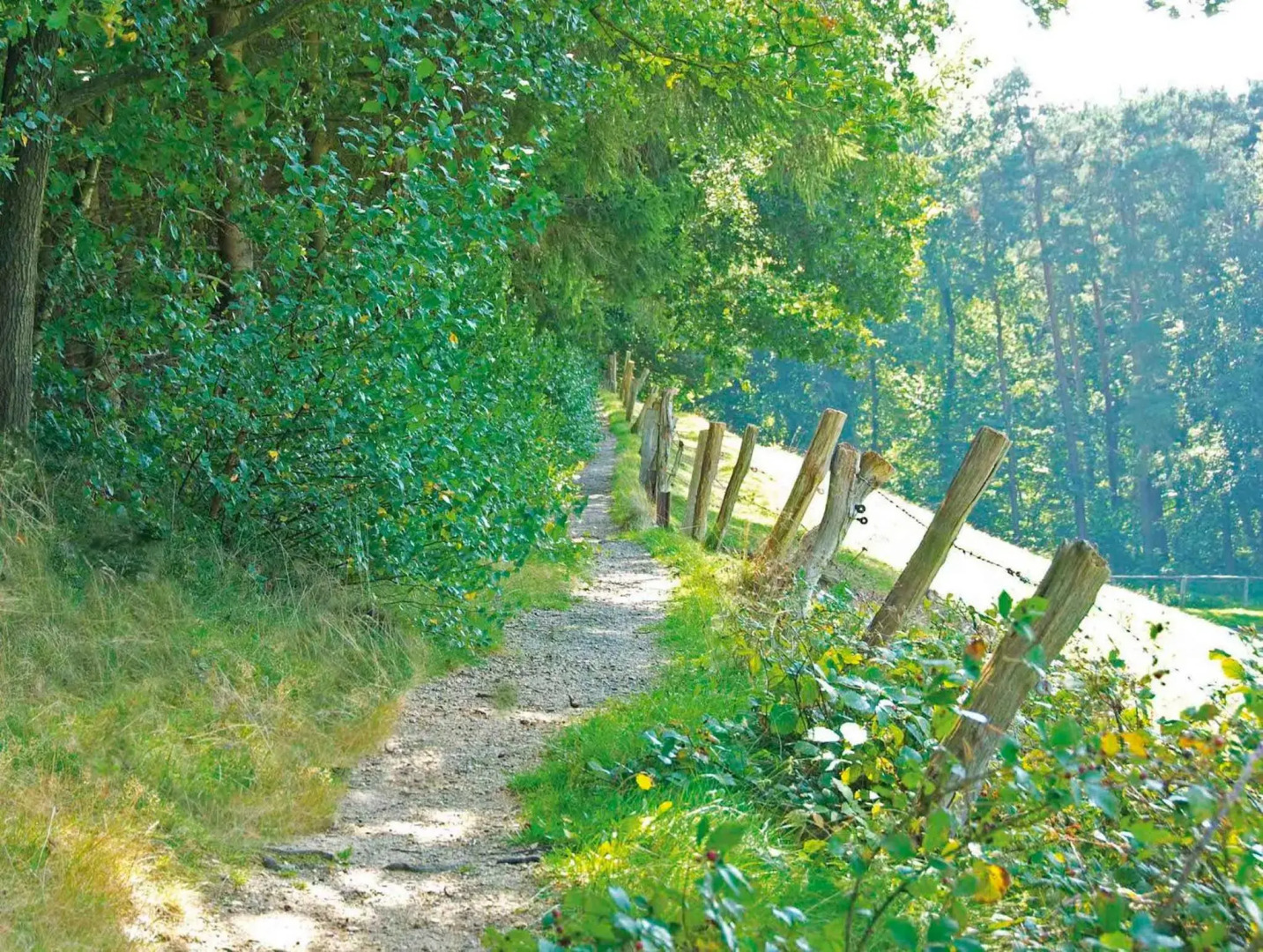 Lindenhof Hotel Tepe