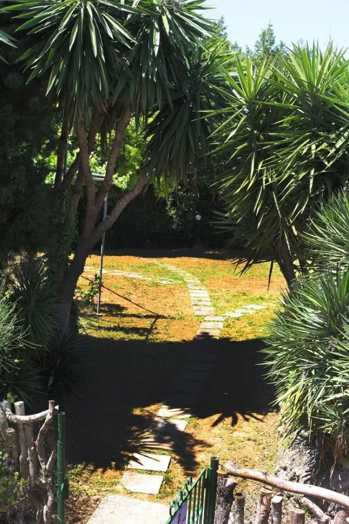 Wildrose Corfu Apartments