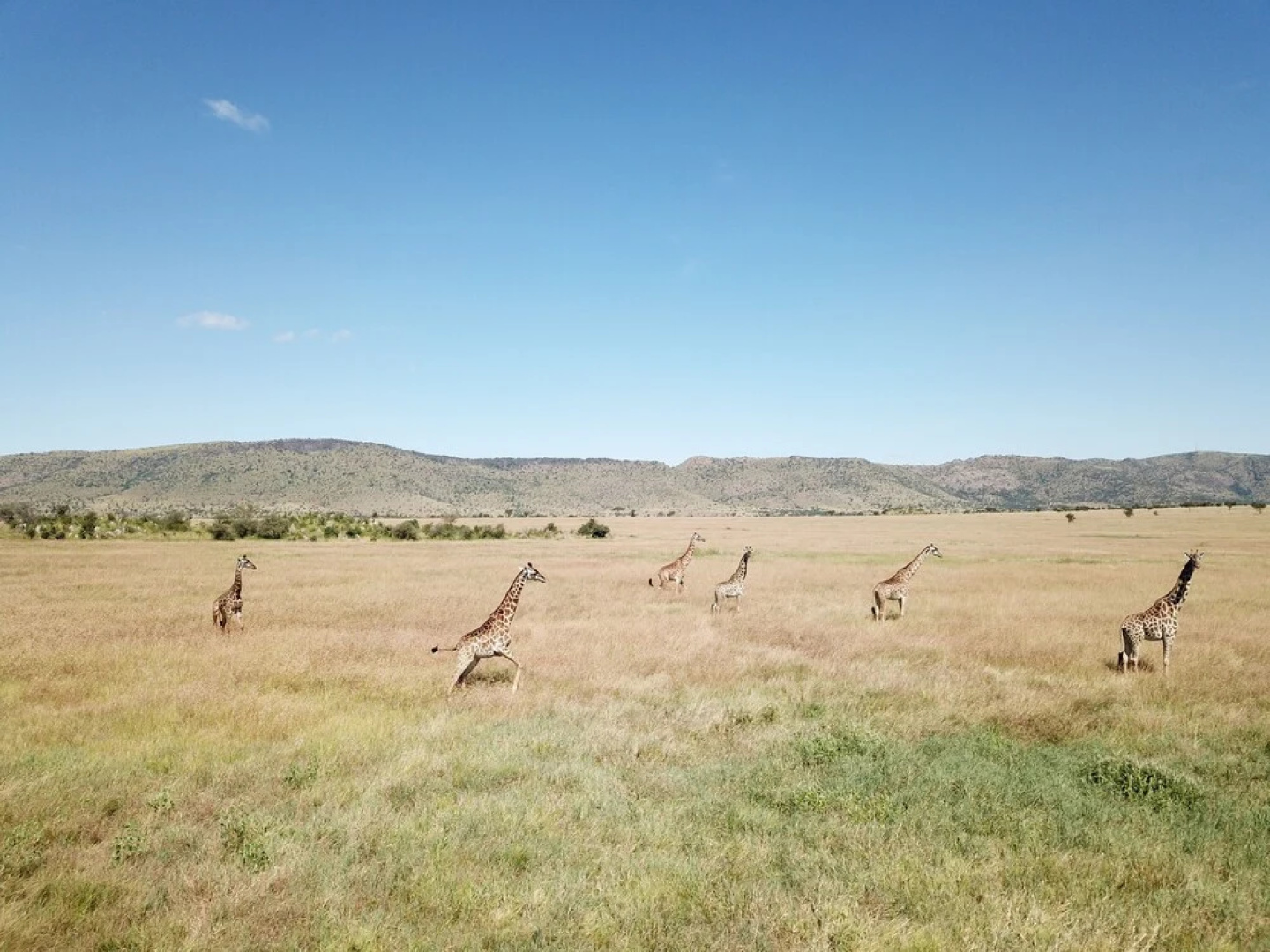 Kananga Special Tented Camp