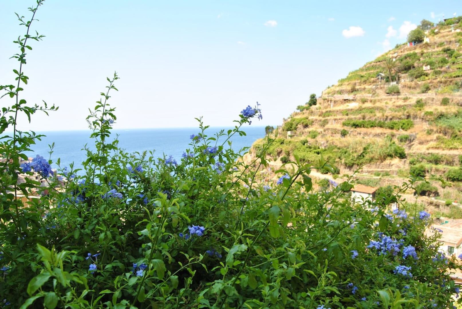 Olimpo Affittacamere