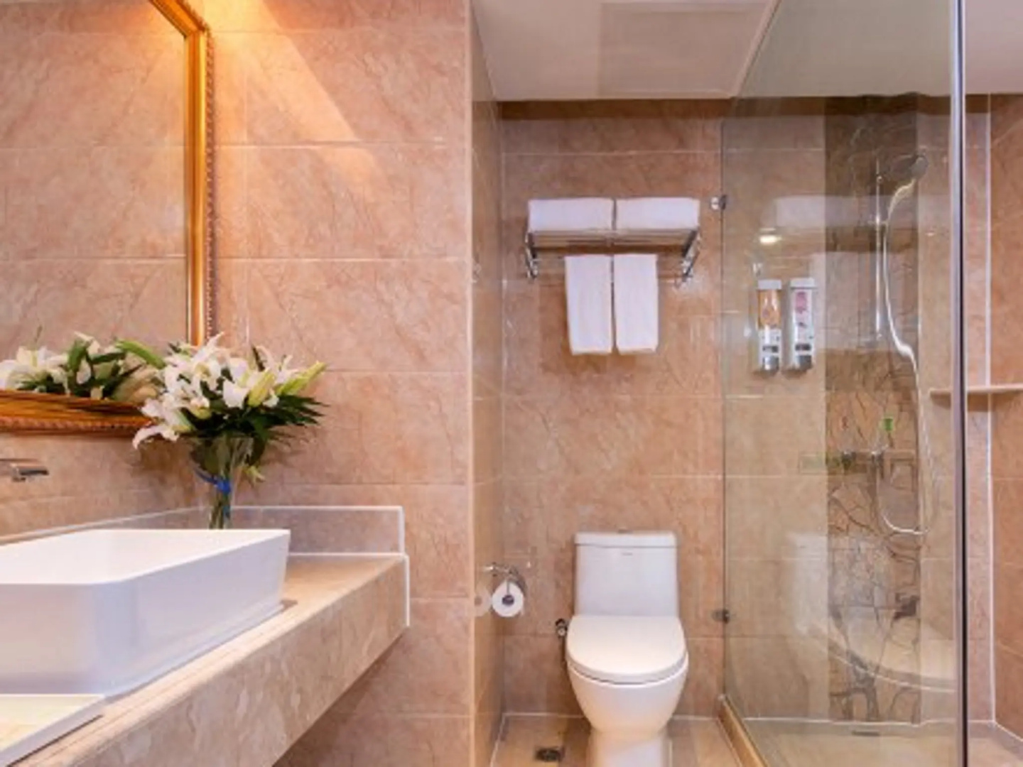 Vienna Hotel Changde Wuling Avenue Branch