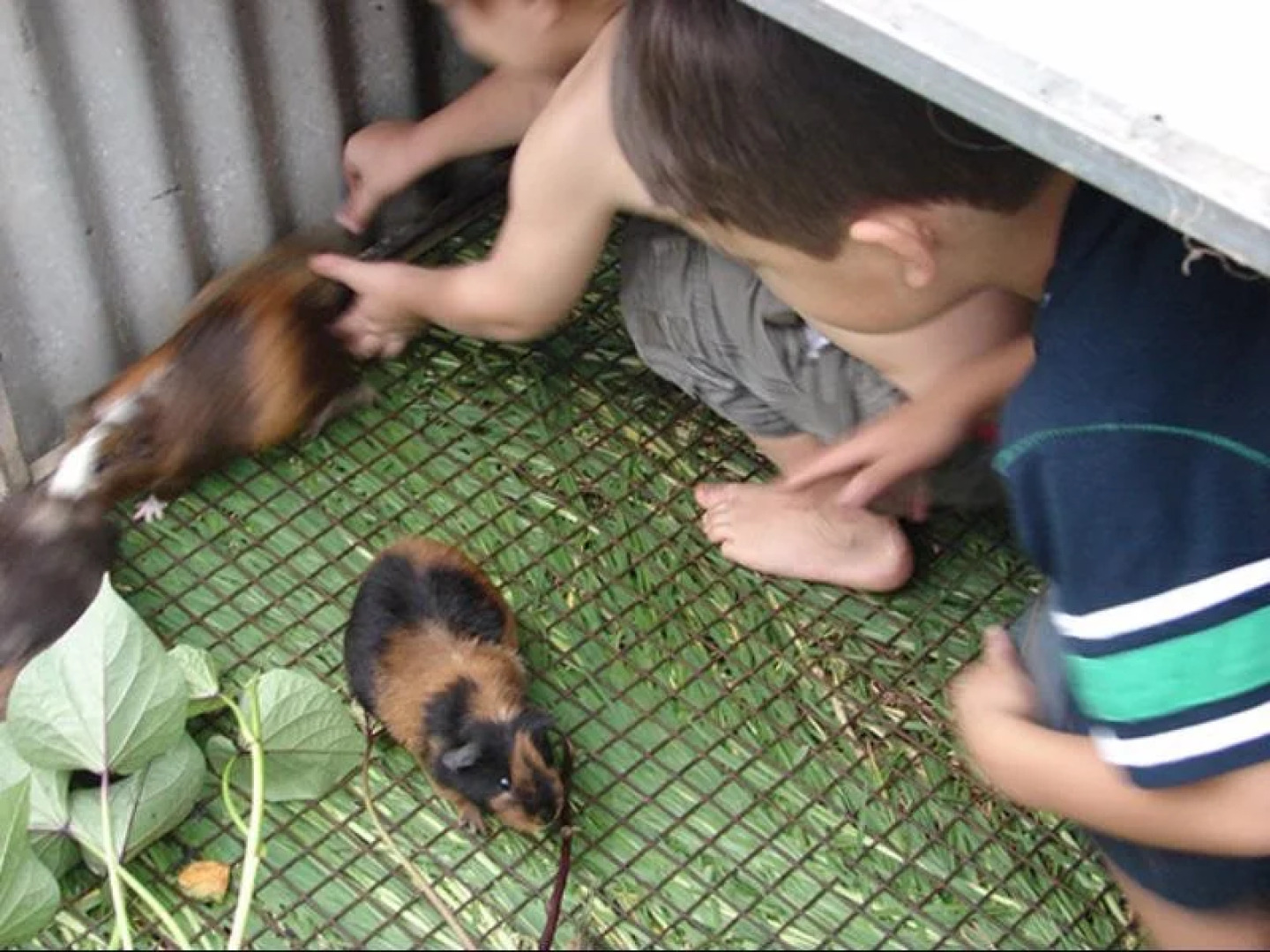 Lee Farm Stay Cottages