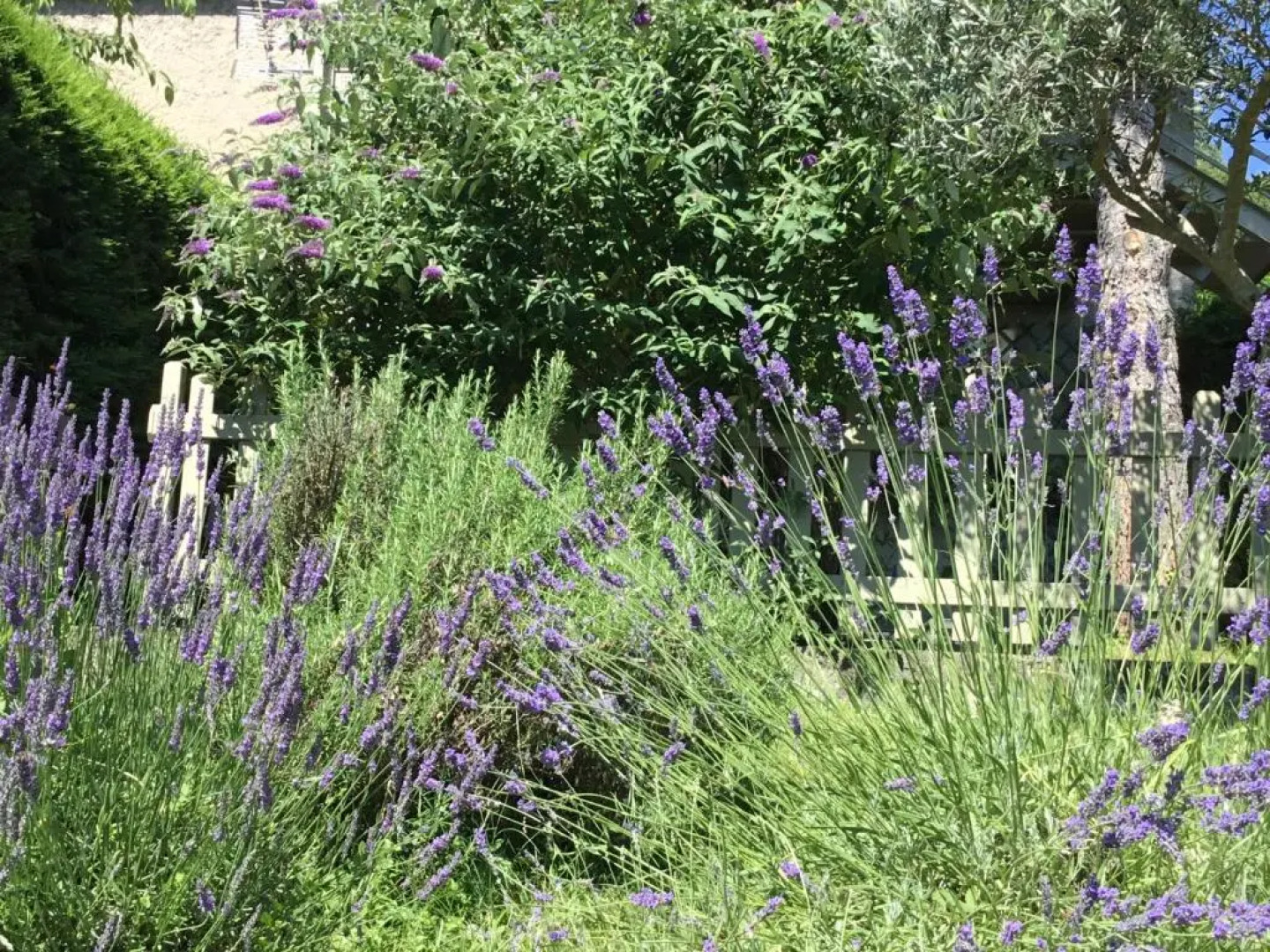 La Cabane de Pépé Emilien