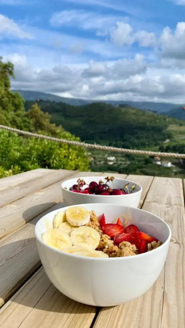 Private Douro- Quinta das Susandas