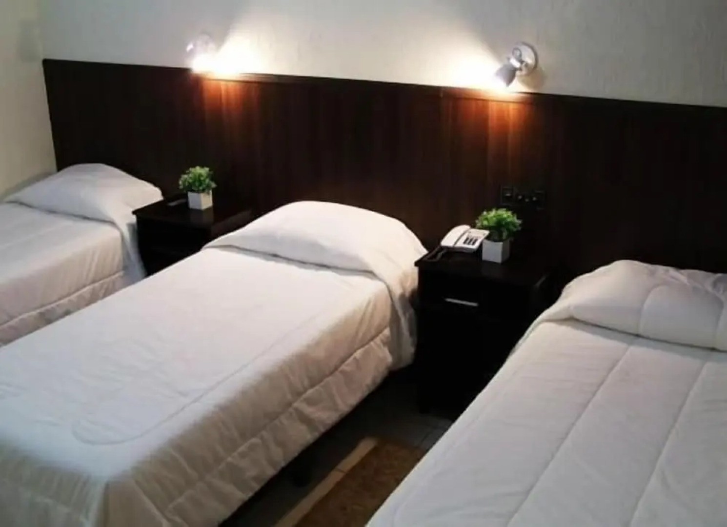 Mediterraneo Park Hotel