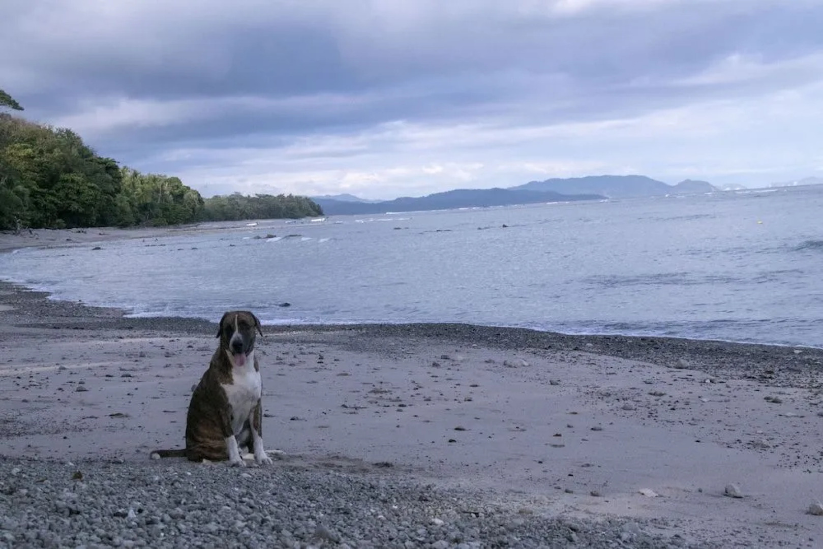 Villas Cabuya Beach & Forest