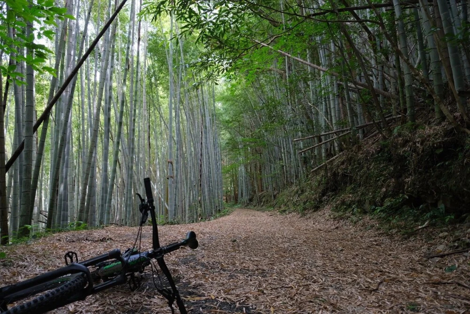 Shimanto Riverside Hideaway