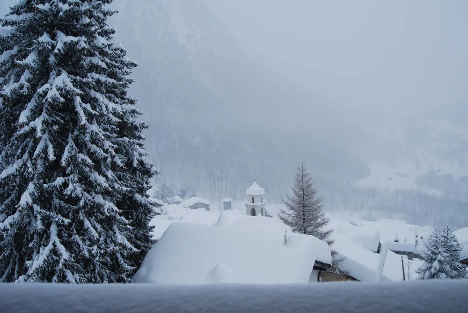 Residence Larice Bianco