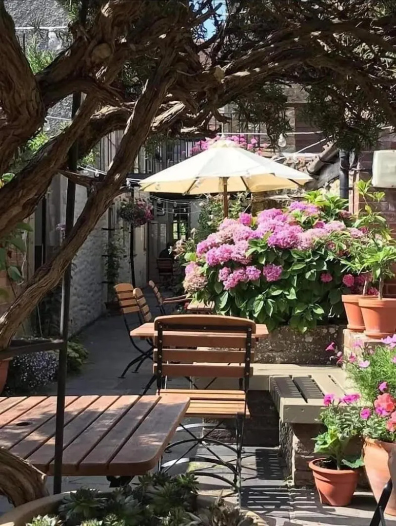 The Plume of Feathers