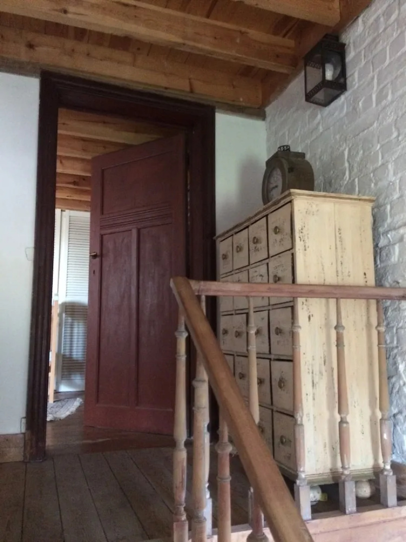 La maison des chiens