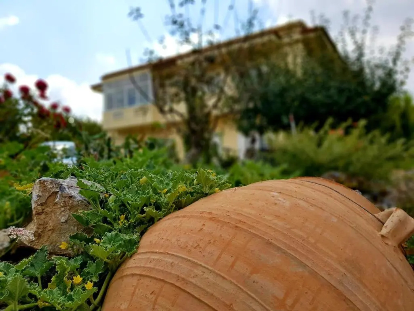 Maison Kronio Lassithi Plateau