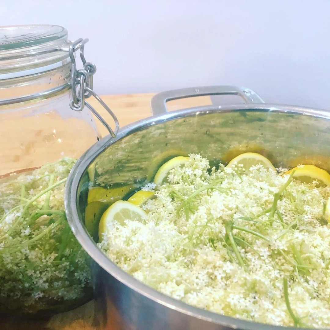 Foxglove Bell Tent in The Broads National Park