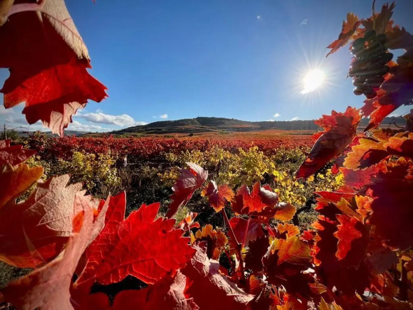 RIOJAVALLEY Apartamentos