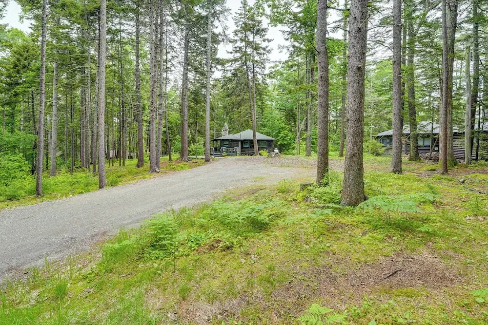 Walk to Barrett's Park: Wooded Cabin w/ Grill!
