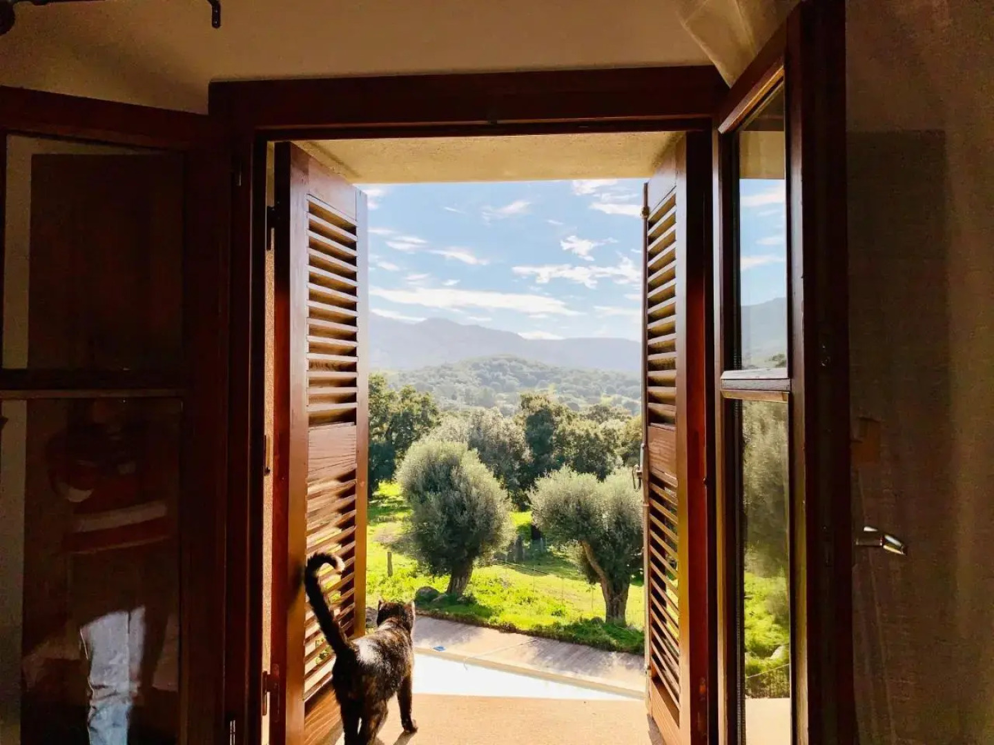 Domaine de Tappa - Casa Filicina