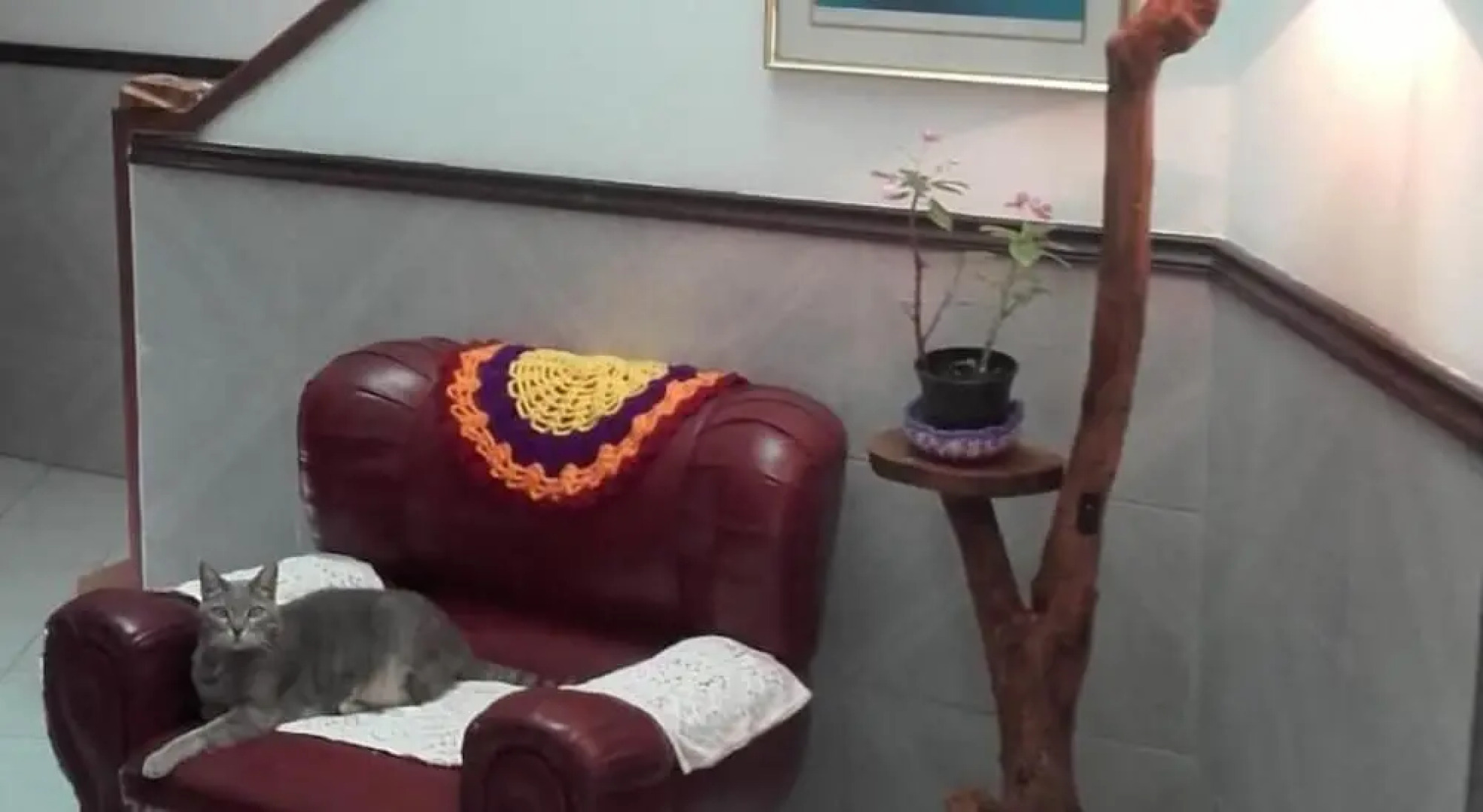 Que Encanto la Italiana