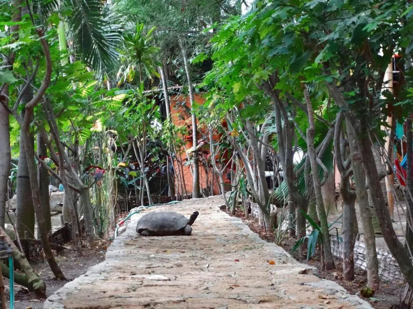 Hosteria Ecologica El faro