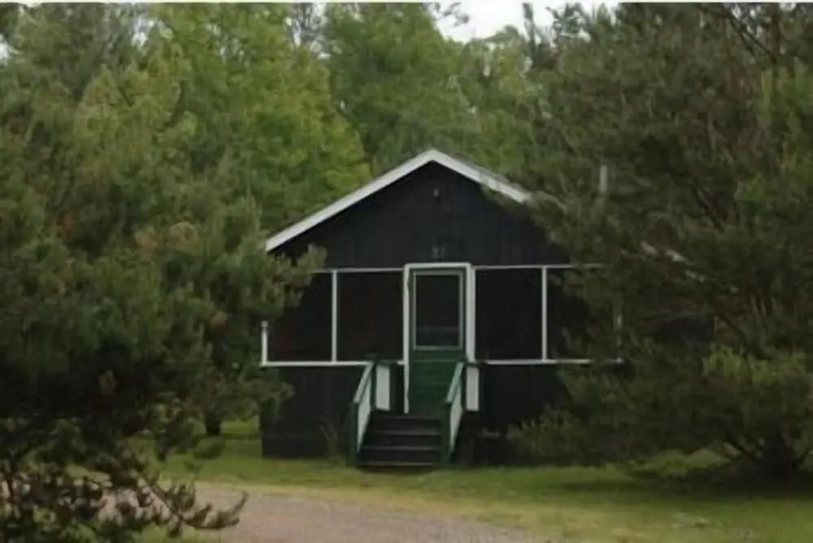 Green Chalets at Scotch Pine Lane