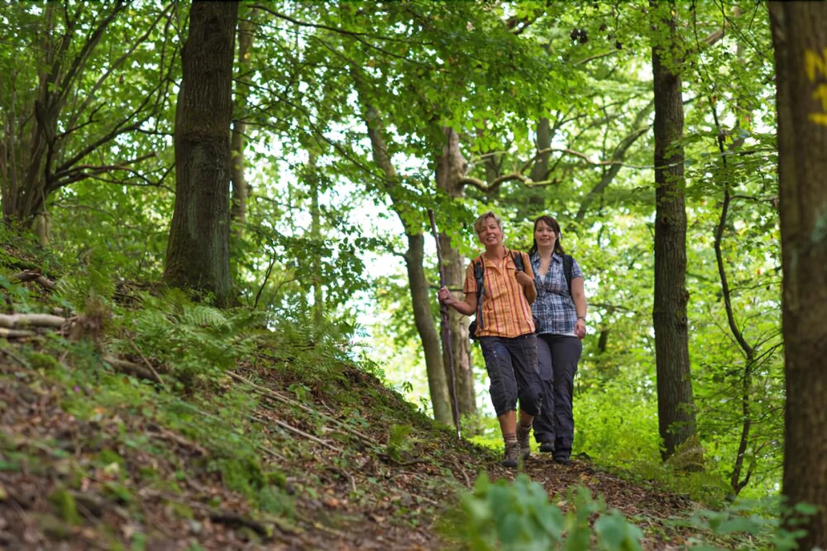 Landhotel & Gasthaus Altenburg