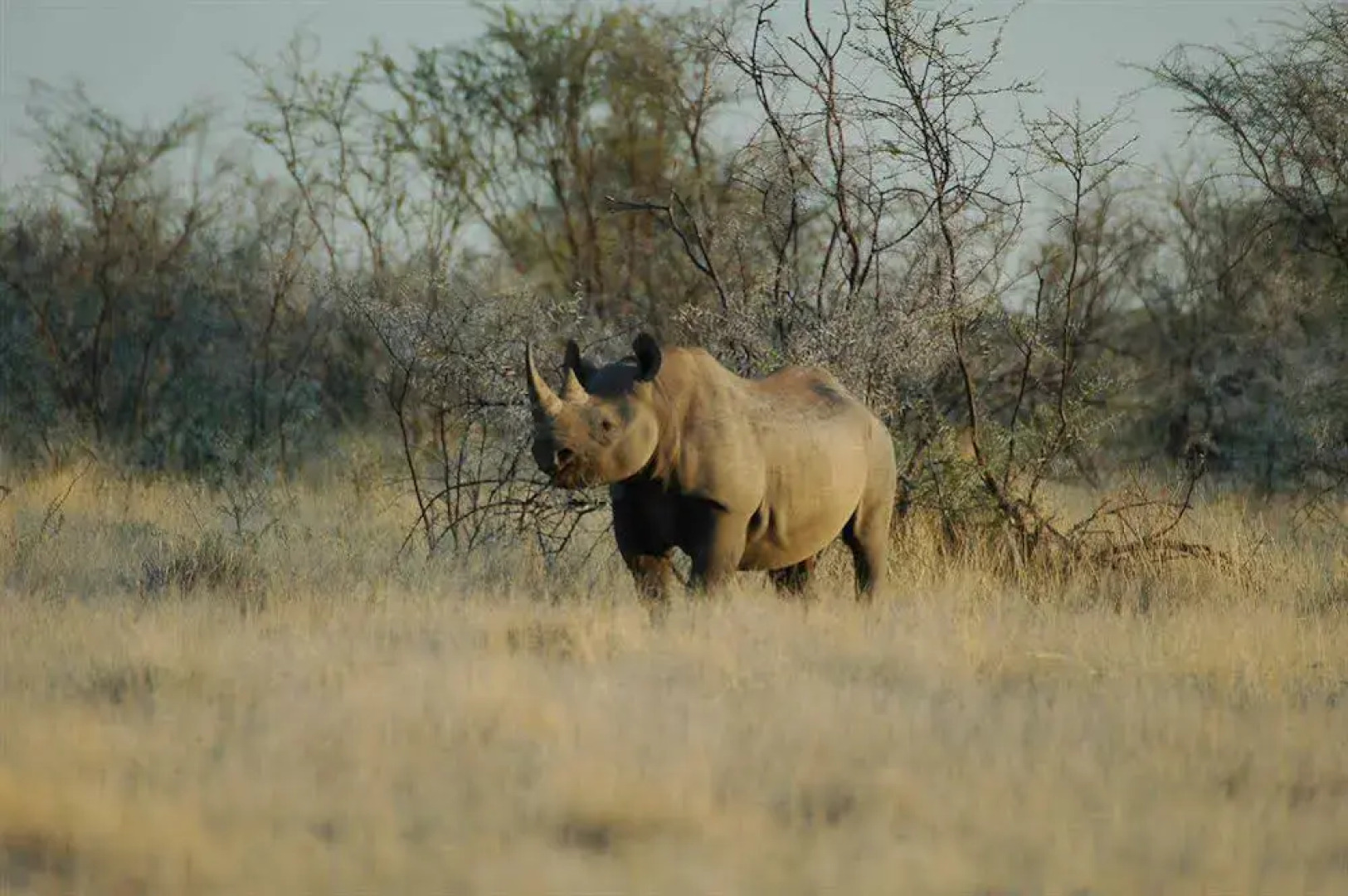 Uukwaluudhi Safari Lodge