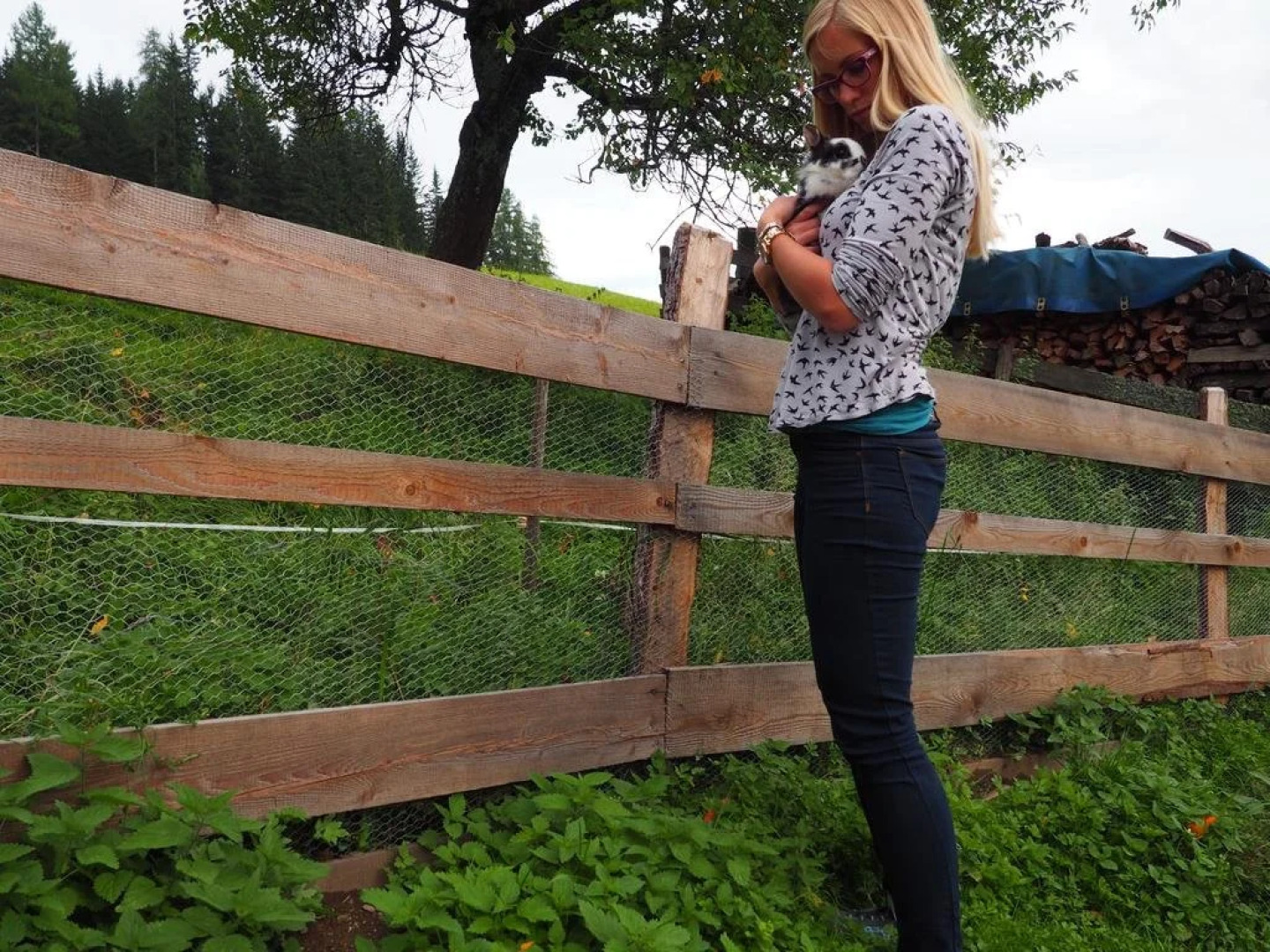 Bio-Bauernhof Grillschmied