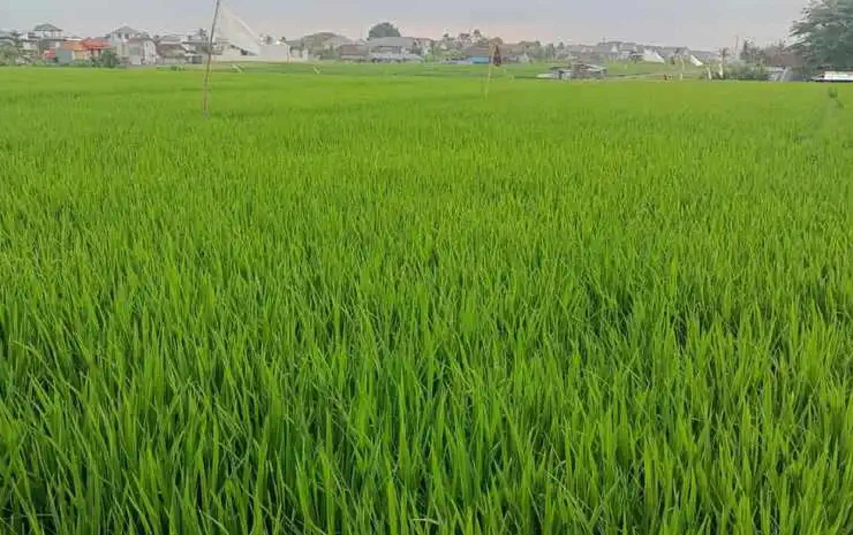 The Kd Suites & Coffee Shop