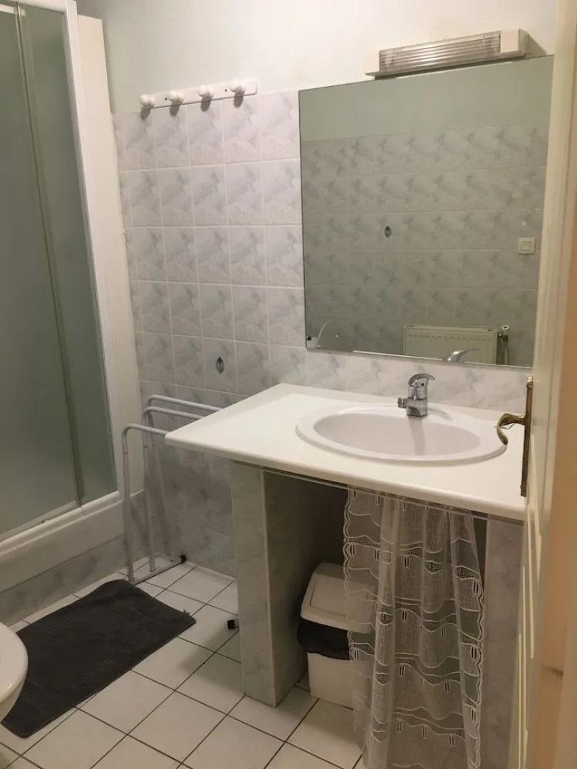 Le Palmyre Soleil de l'Amazonie