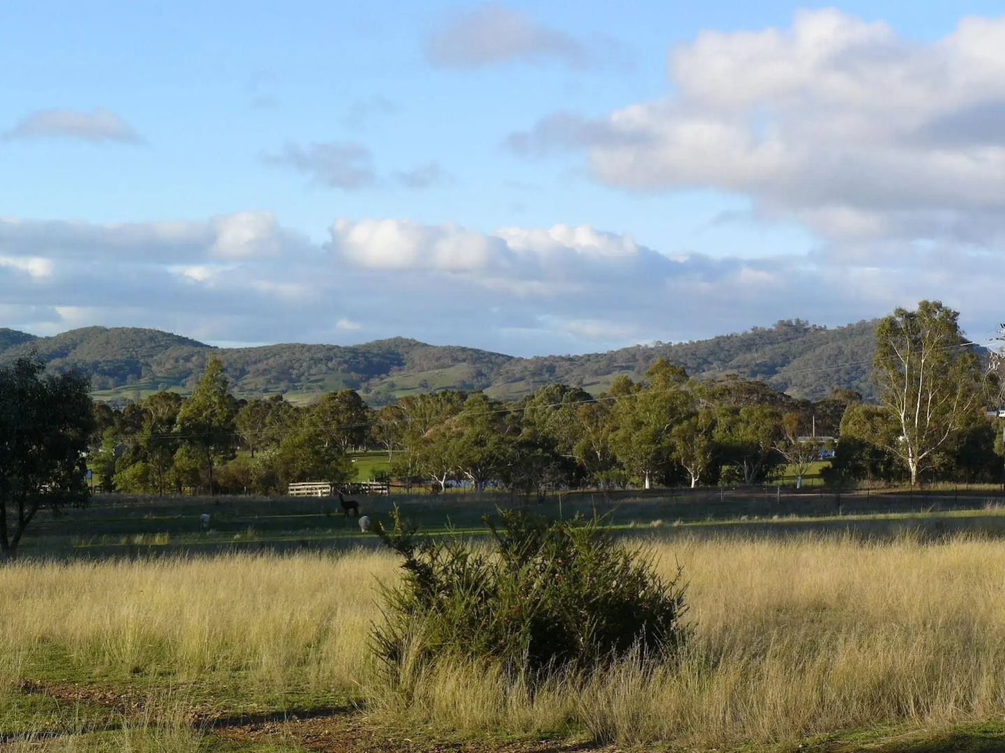 Protea Farm Cottages
