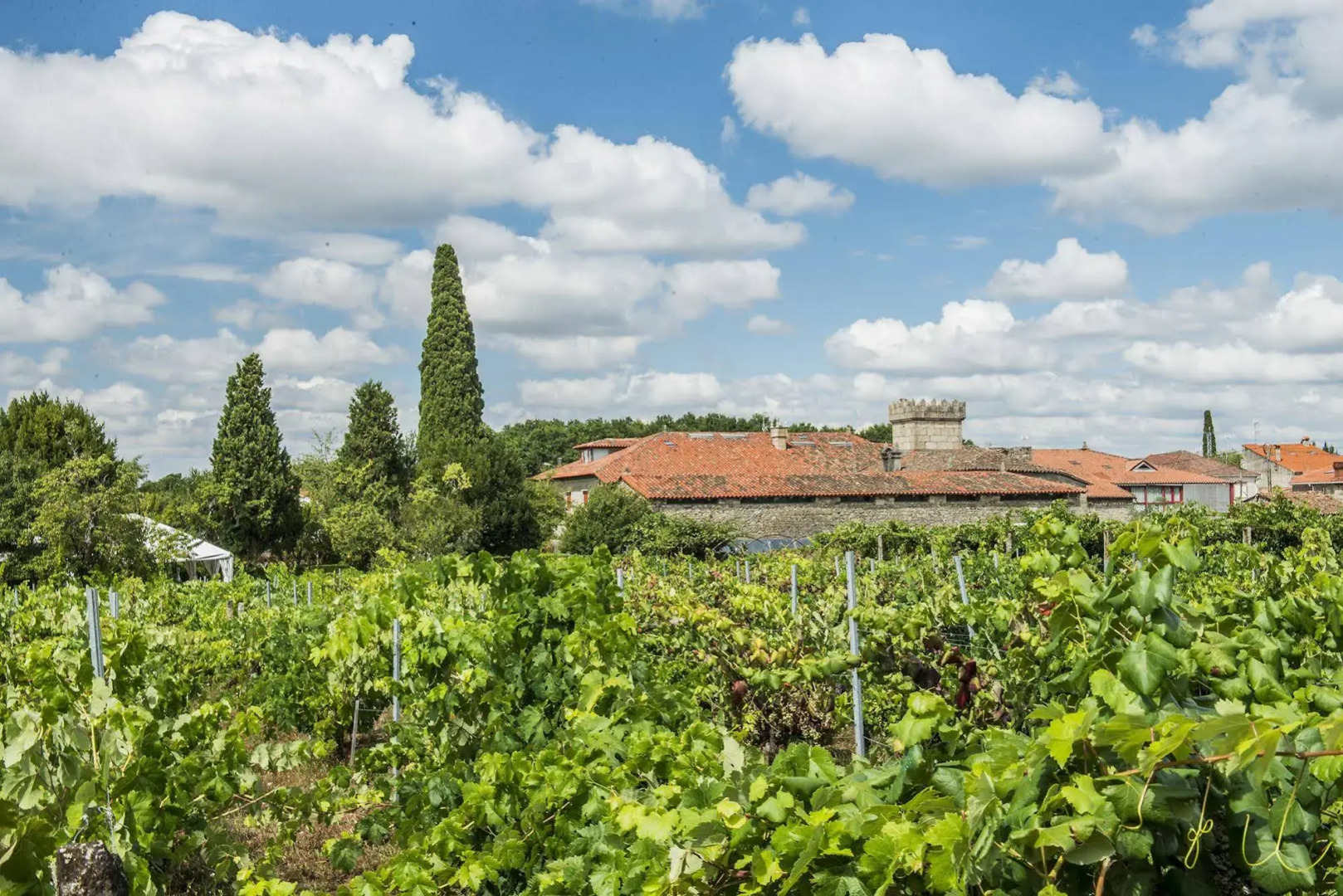 Casa Grande de Rosende