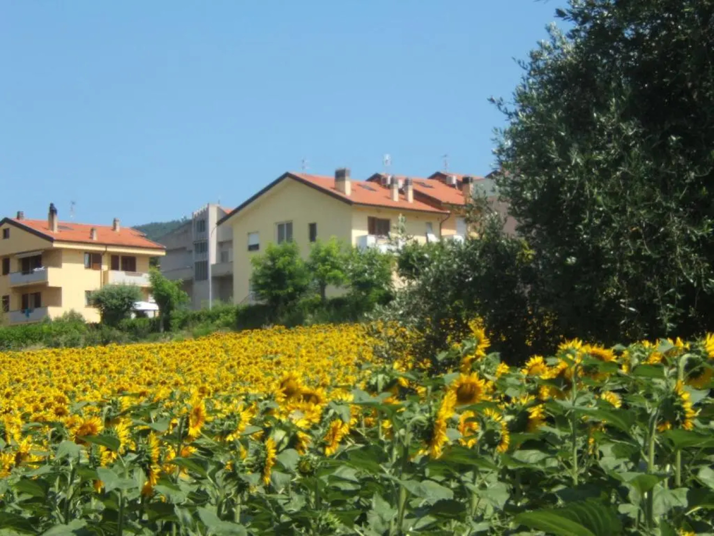 Grazioso Appartamento Panoramico