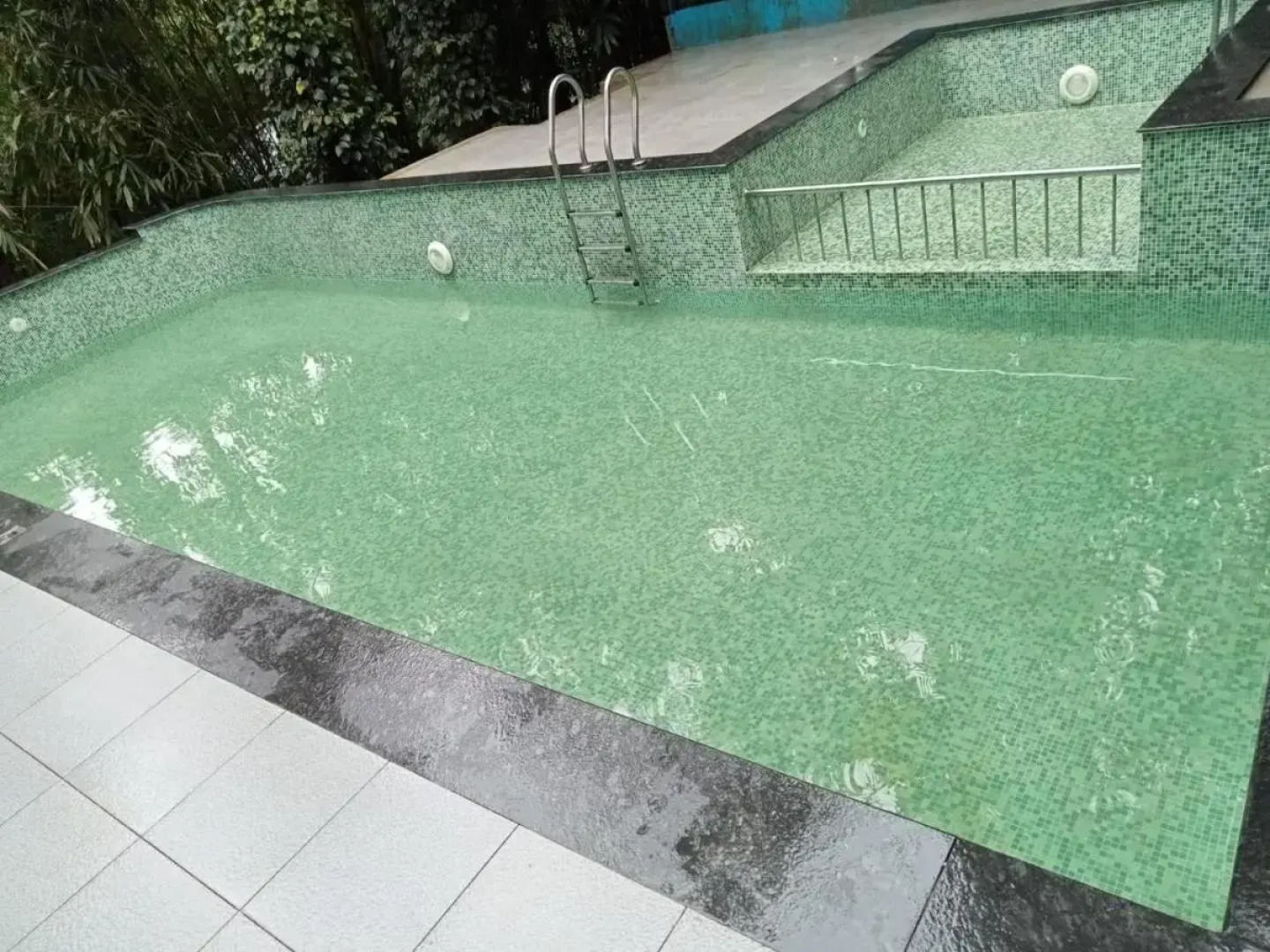 Misty Morning Resort