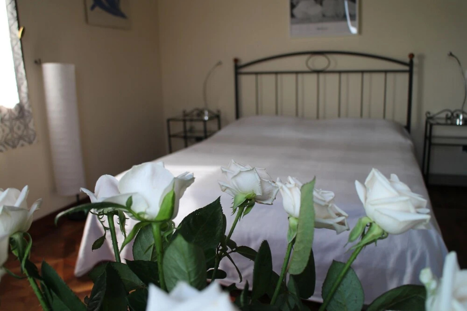 Bed & Breakfast Amarcord